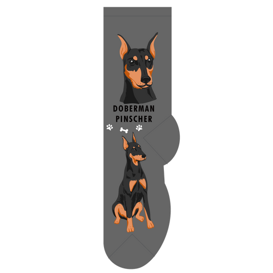 Doberman Pinscher