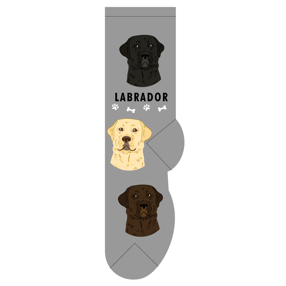 Labrador