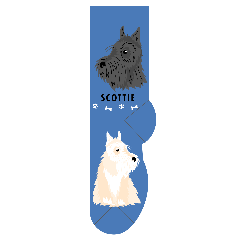 Scottie