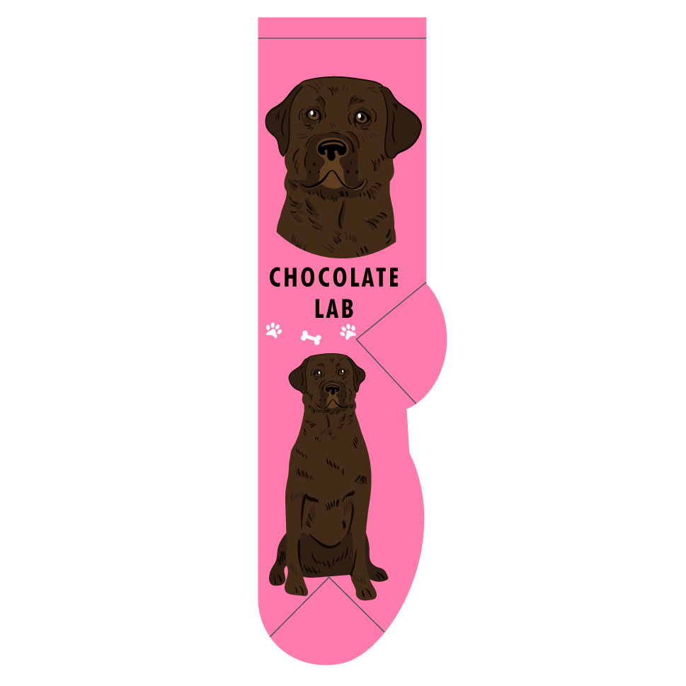 Chocolate Lab