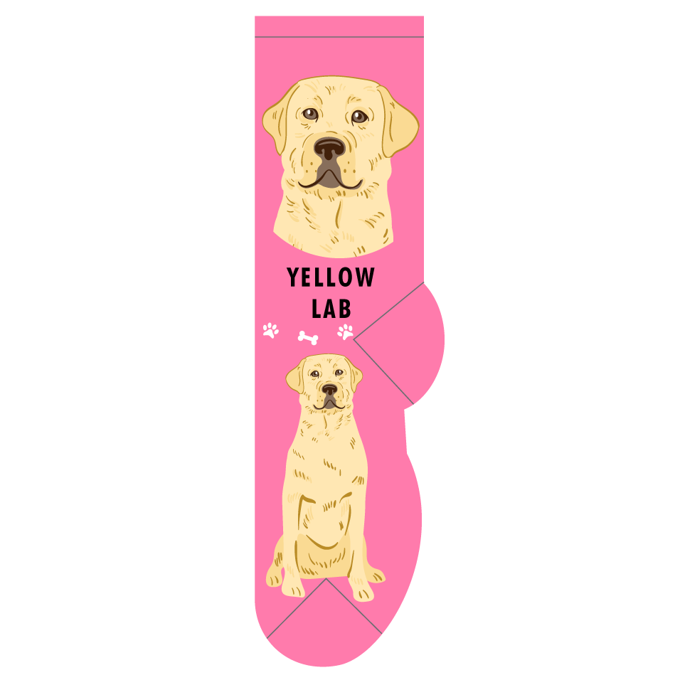 Yellow Lab